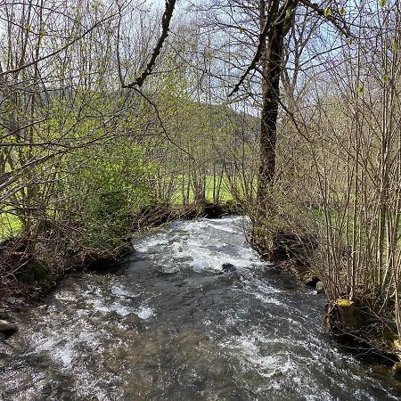Schwarzwaldglueck Apartment Oberried  Dış mekan fotoğraf