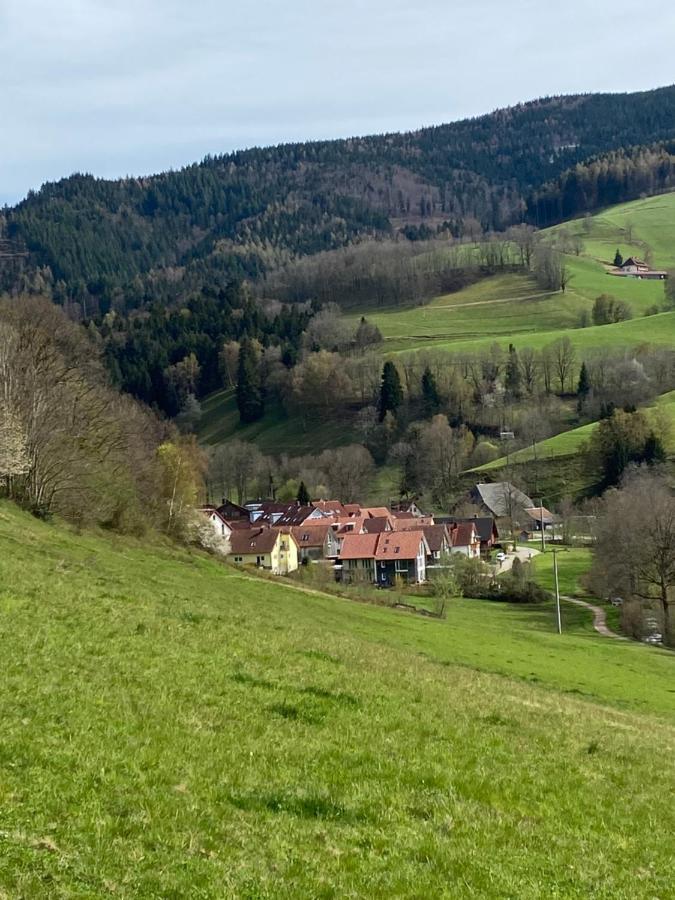 Schwarzwaldglueck Apartment Oberried  Dış mekan fotoğraf