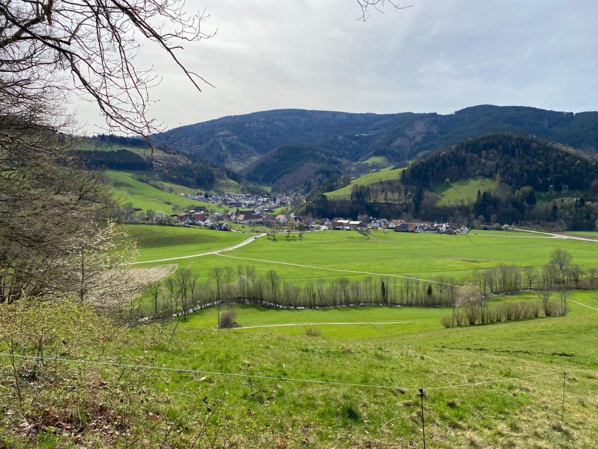 Schwarzwaldglueck Apartment Oberried  Dış mekan fotoğraf